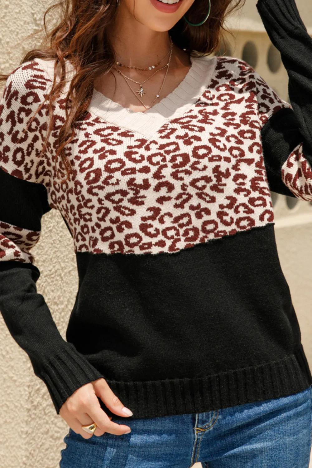 'Samar' V-Neck Leopard Print Sweater (3 Colors)